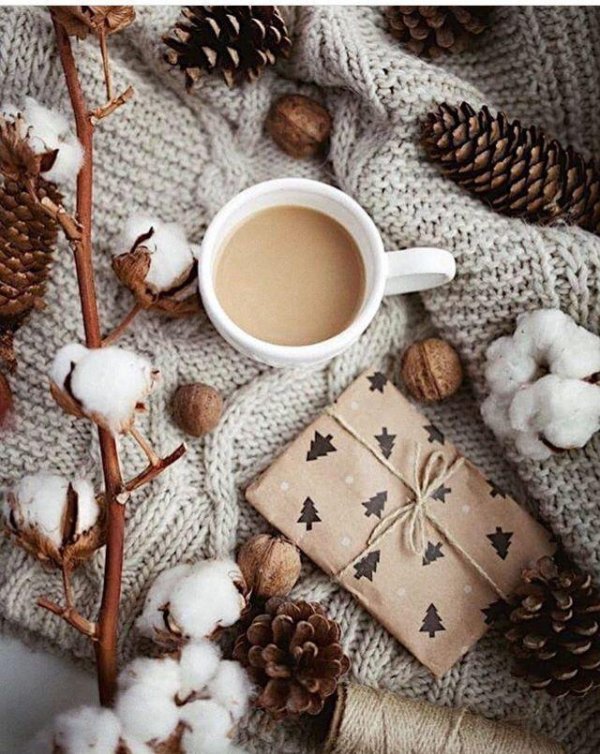 Стильные зима