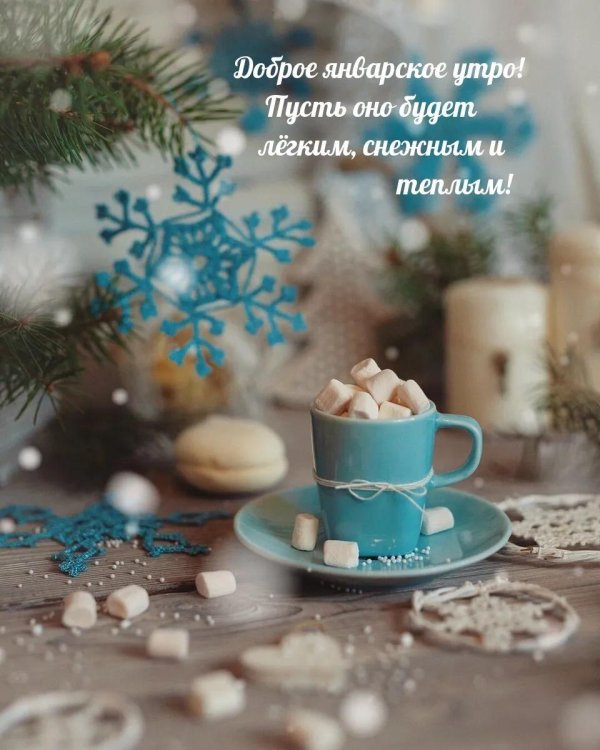 Стильные зима