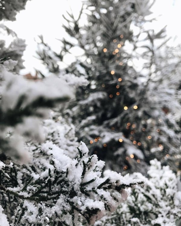 Счастье зима