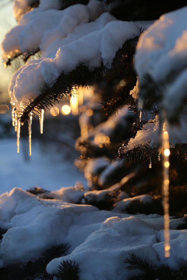 Счастье зима