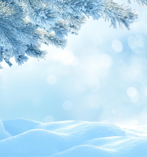 Фон зима