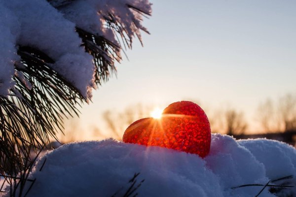 Сердце зима