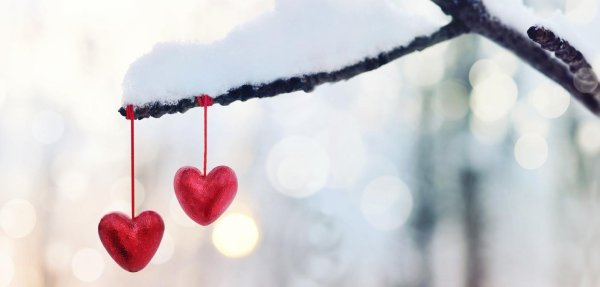 Сердце зима