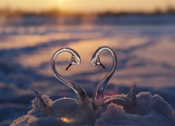 Сердце зима