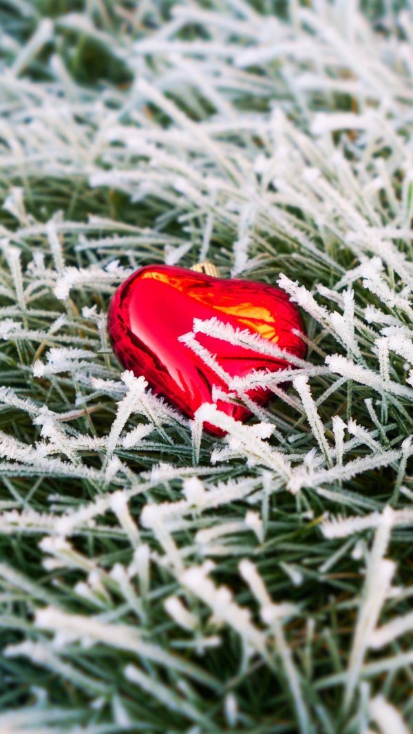 Сердце зима