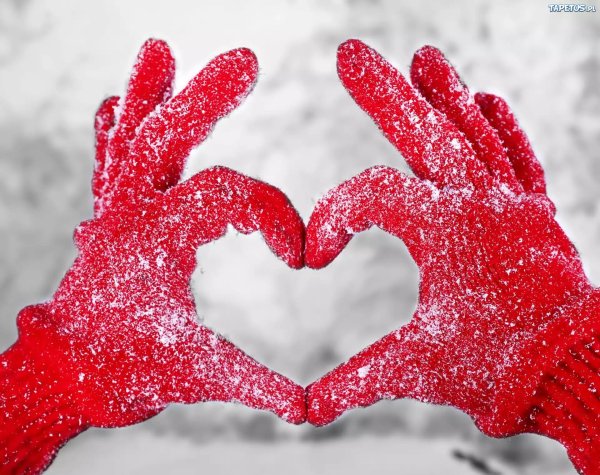 Сердце зима