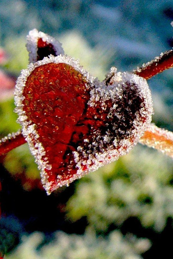 Сердце зима