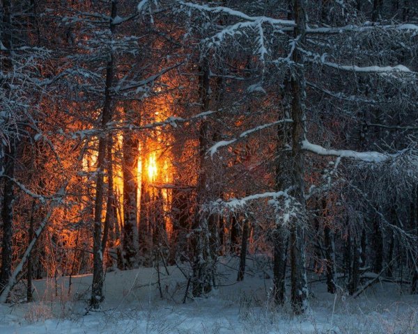 Зима якутии