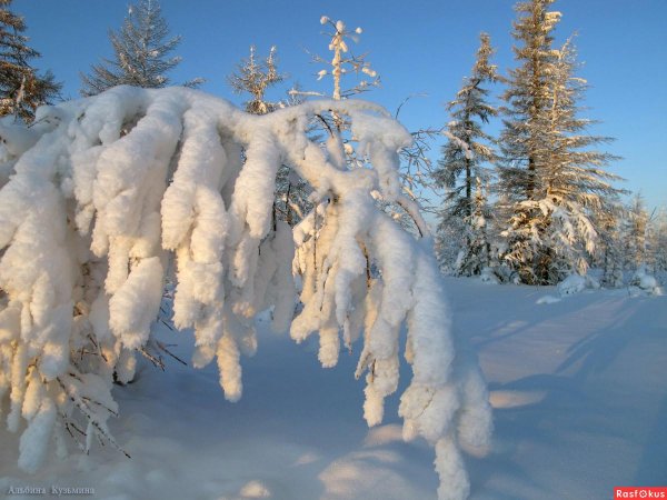 Зима якутии