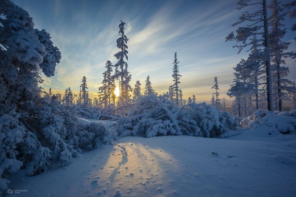 Зима якутии