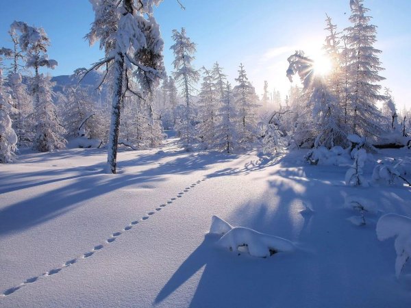 Зима якутии