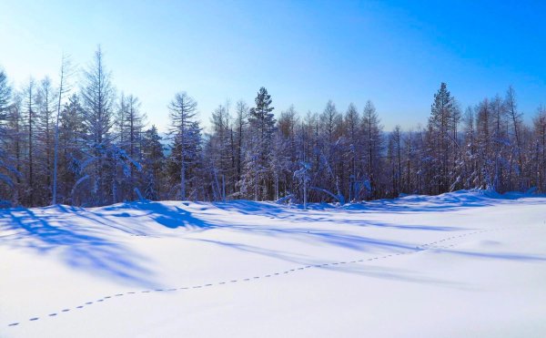 Зима якутии