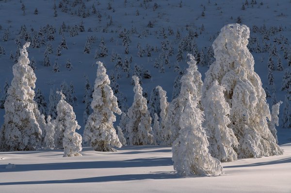 Зима якутии