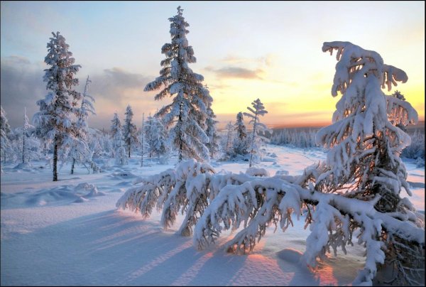 Зима якутии