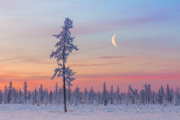 Зима якутии