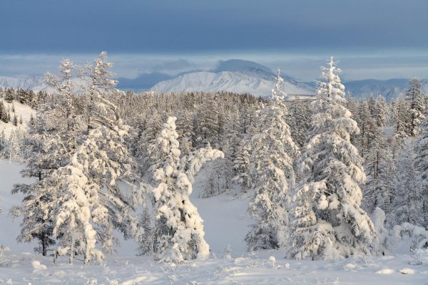 Зима якутии