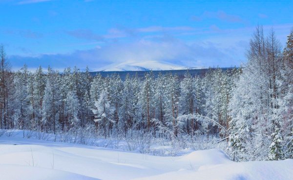 Зима якутии