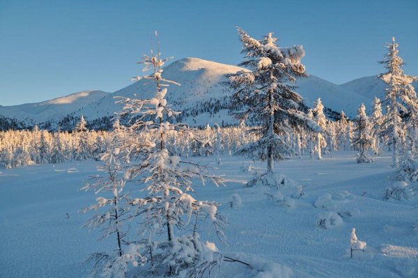 Зима якутии