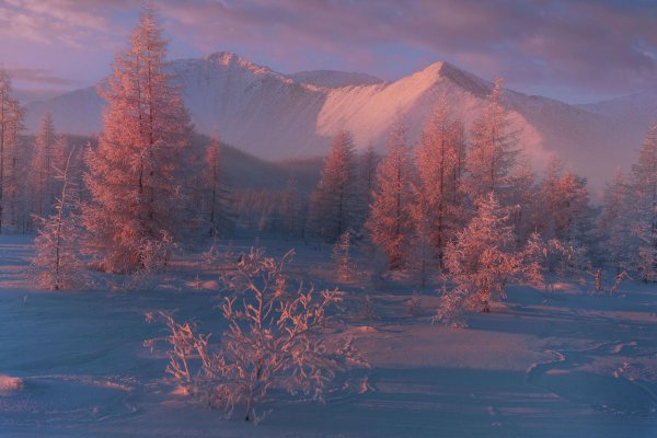 Зима якутии