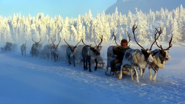 Зима якутии