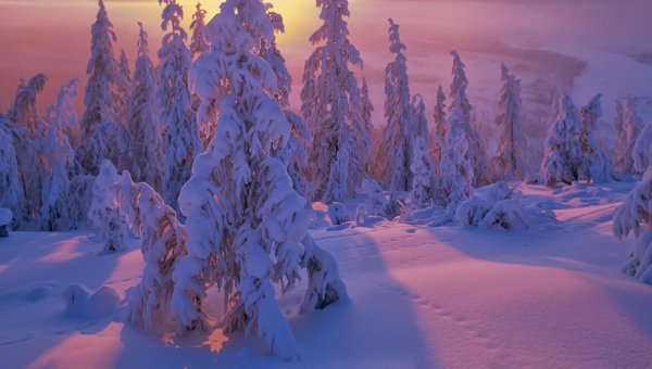 Зима якутии