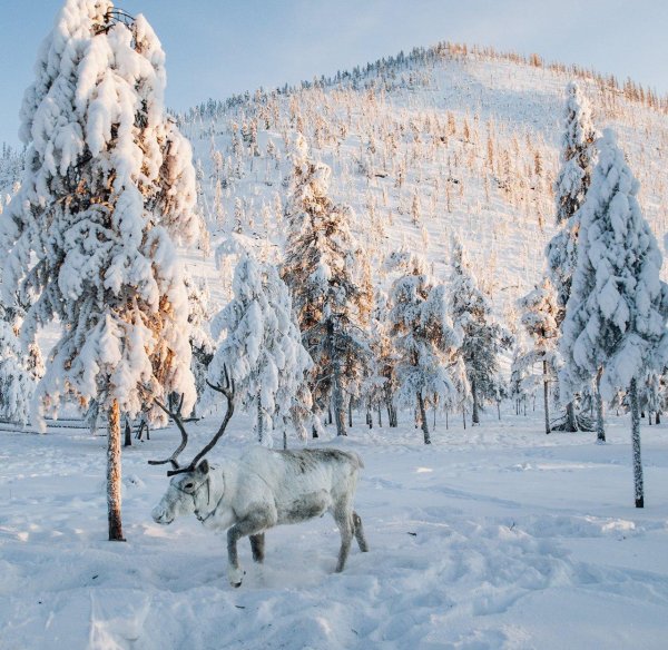 Зима якутии