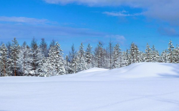 Зима якутии