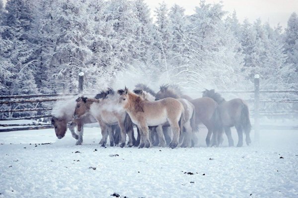 Зима якутии