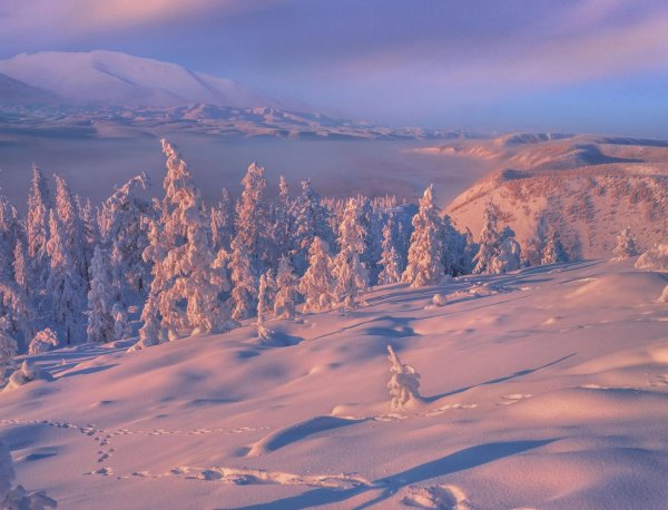 Зима якутии