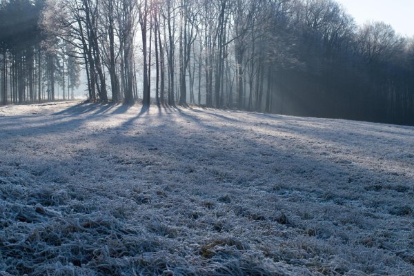 Зима без снега
