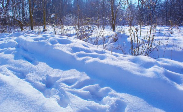 Зима без снега