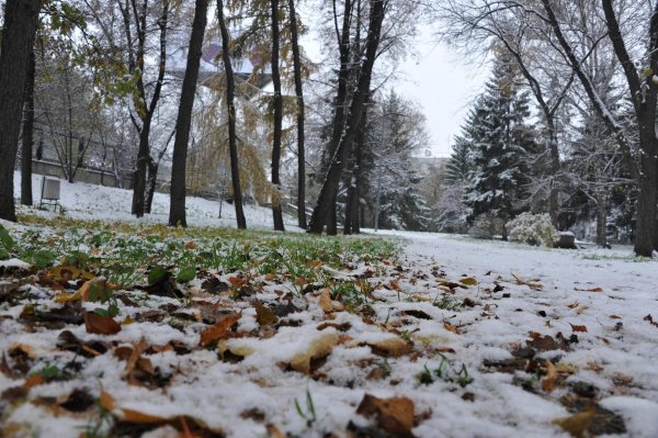 Зима без снега