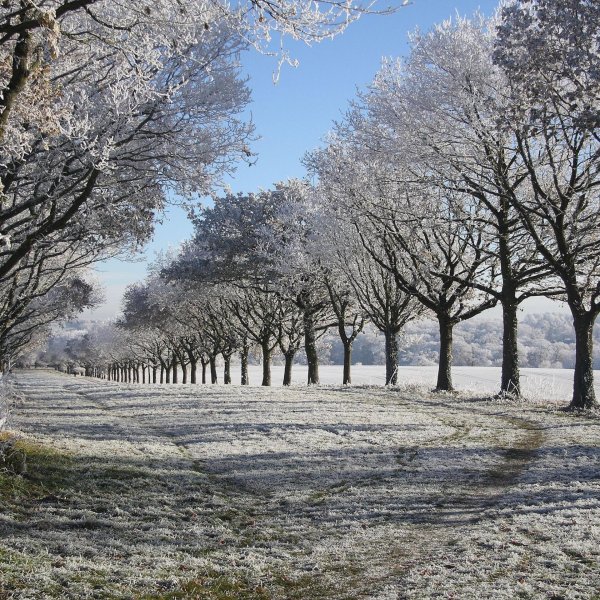 Зима без снега