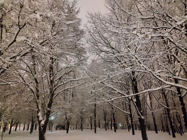 Зима без снега