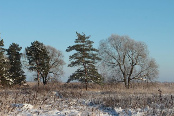 Зима без снега