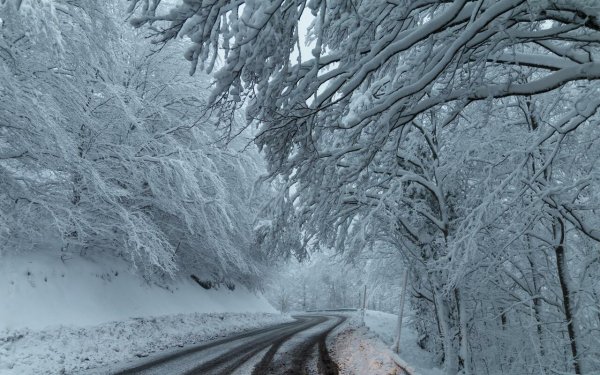 Зима без снега