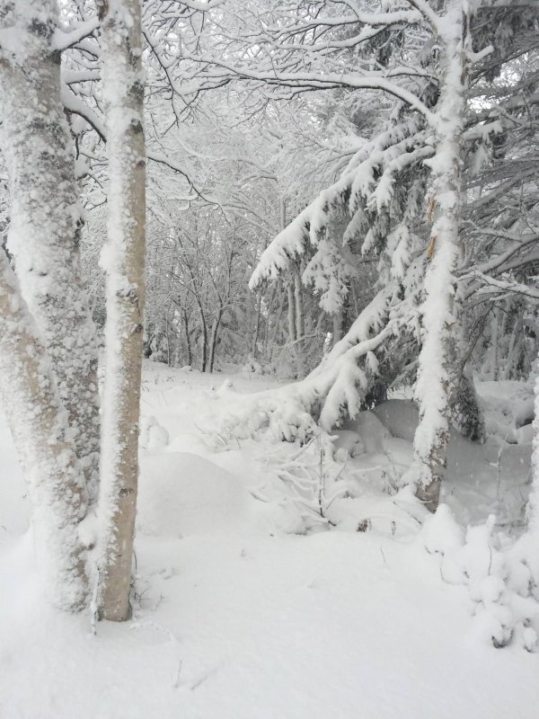 Зима без снега