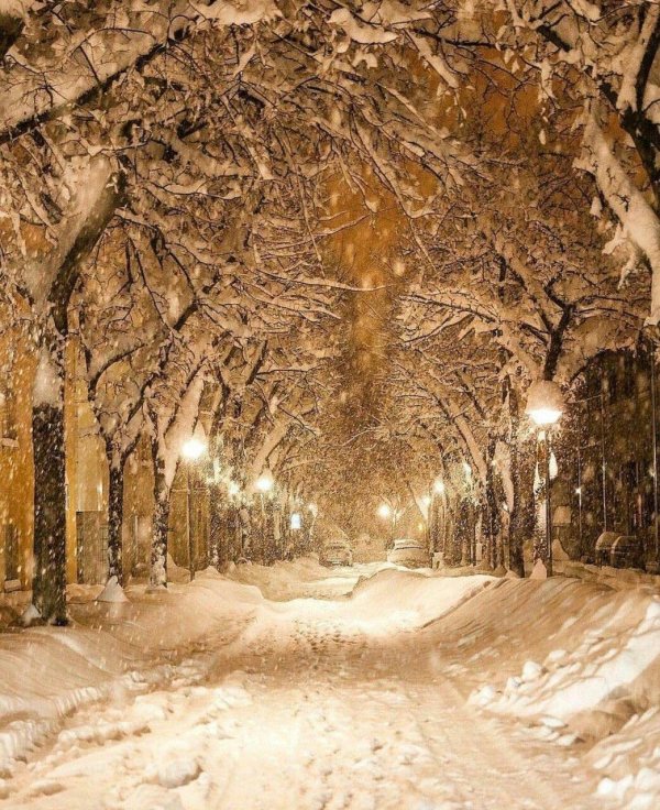 Зима без снега