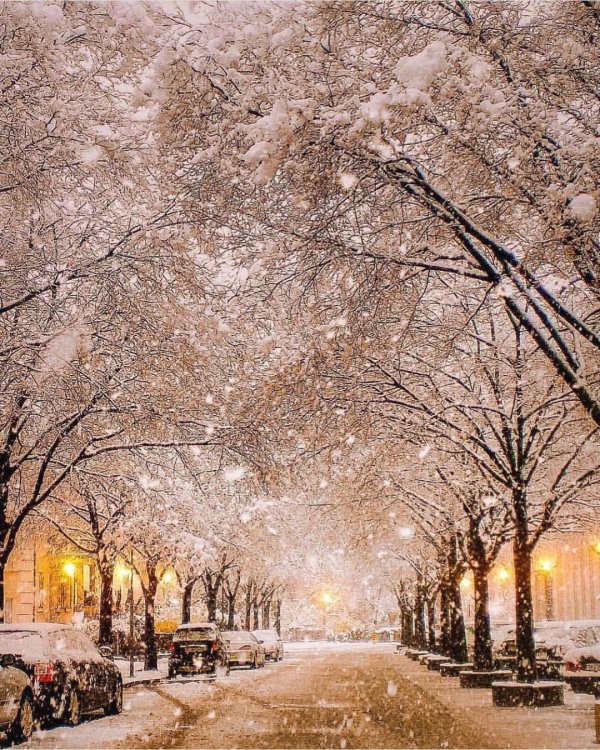 Зима без снега