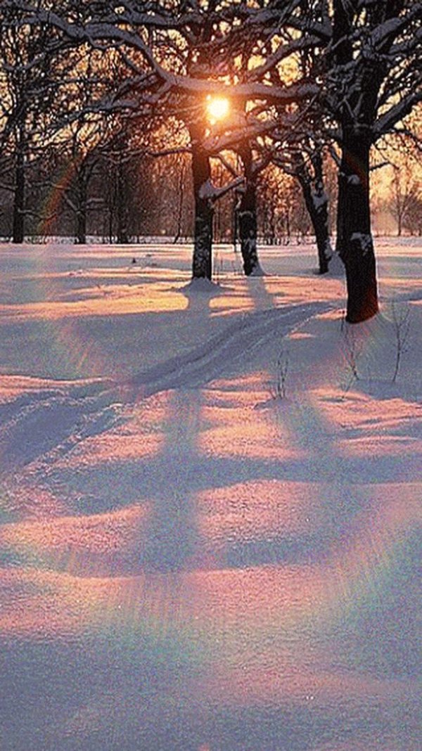 Зима без снега