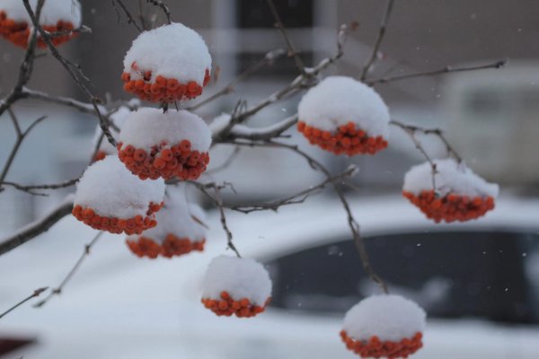 Зима без снега