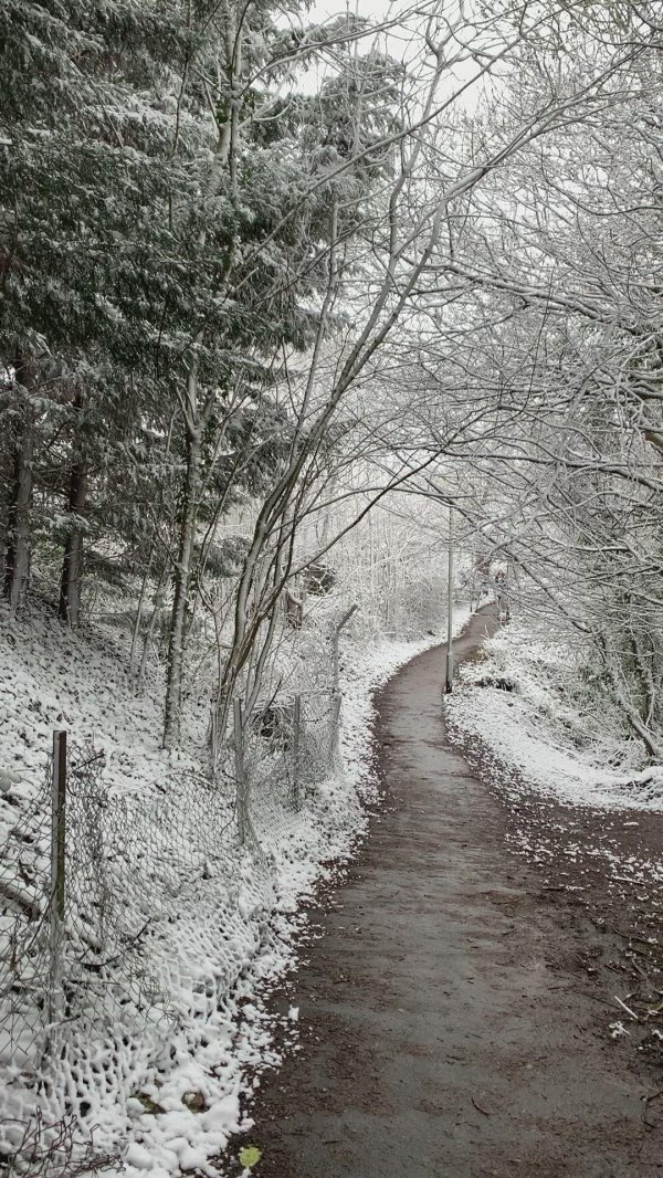 Зима без снега