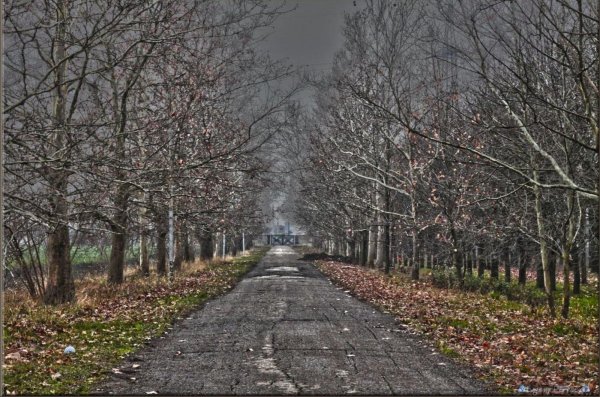 Зима без снега