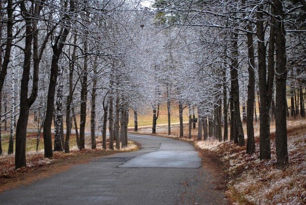 Зима без снега