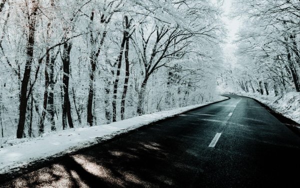 Зима без снега