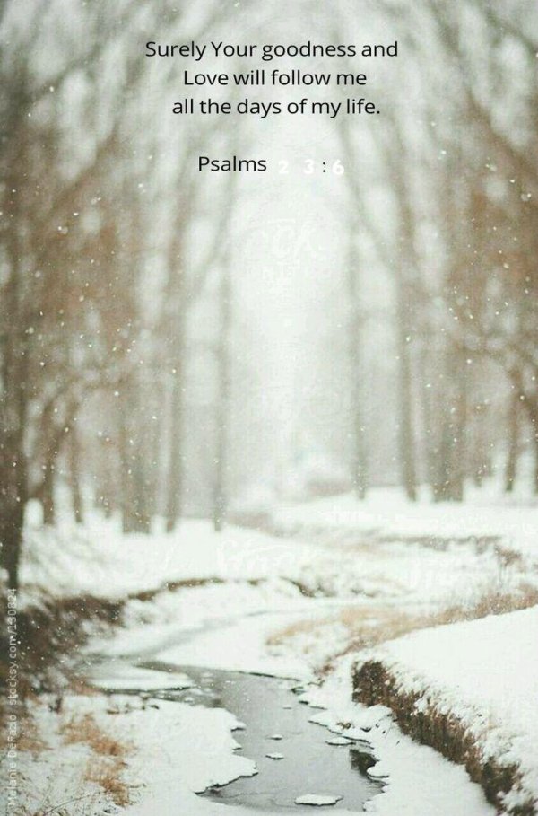 Зима без снега