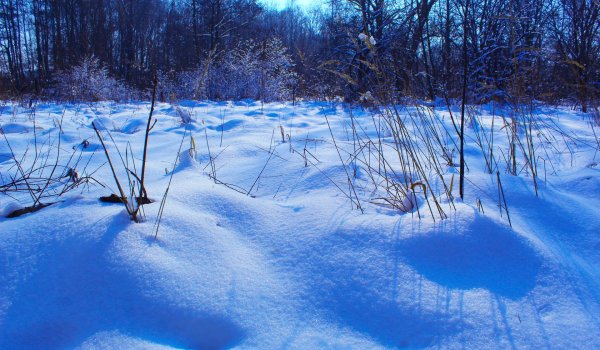 Зима без снега