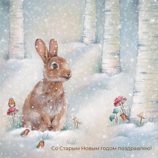Зима и зайцы