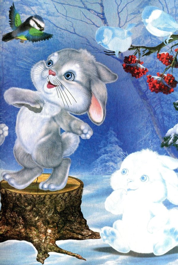 Зима и зайцы