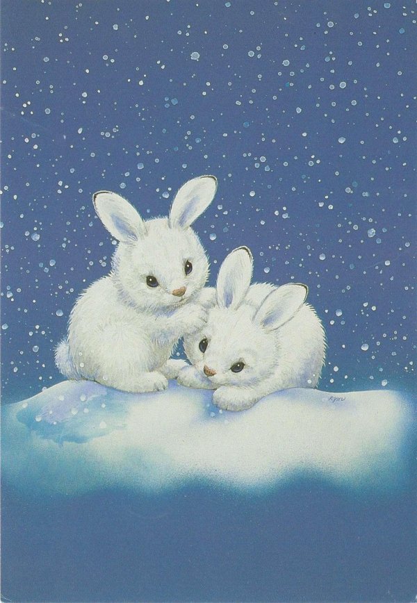 Зима и зайцы